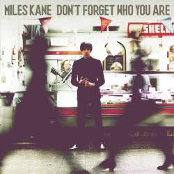 miles kane.jpg