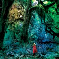 jacco-gardner-cabinet-of-curiosities-lyrics-db15.jpg